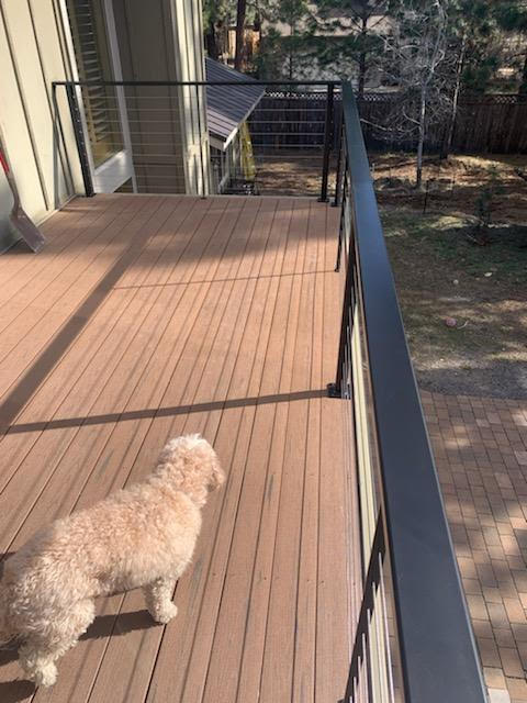 A Finished Deck and a Happy Dog